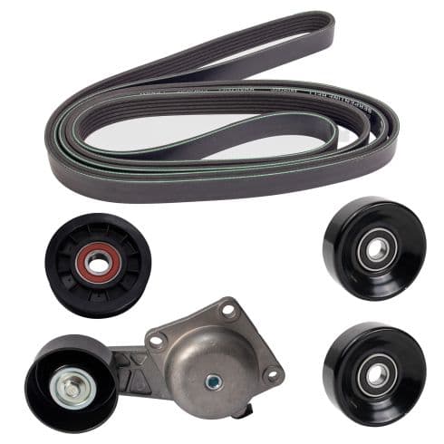 Correa poly-V · 5 piezas